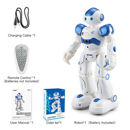 Interactive Smart Gesture Robot eprolo