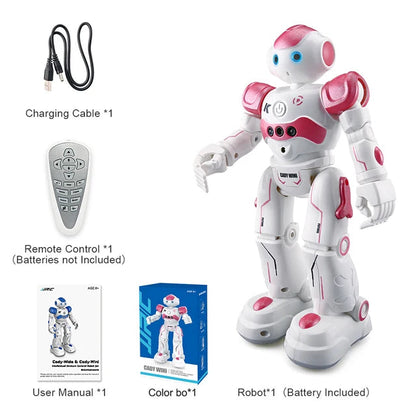 Interactive Smart Gesture Robot eprolo