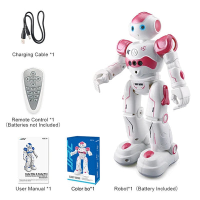 Interactive Smart Gesture Robot eprolo