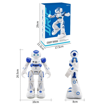 Interactive Smart Gesture Robot eprolo