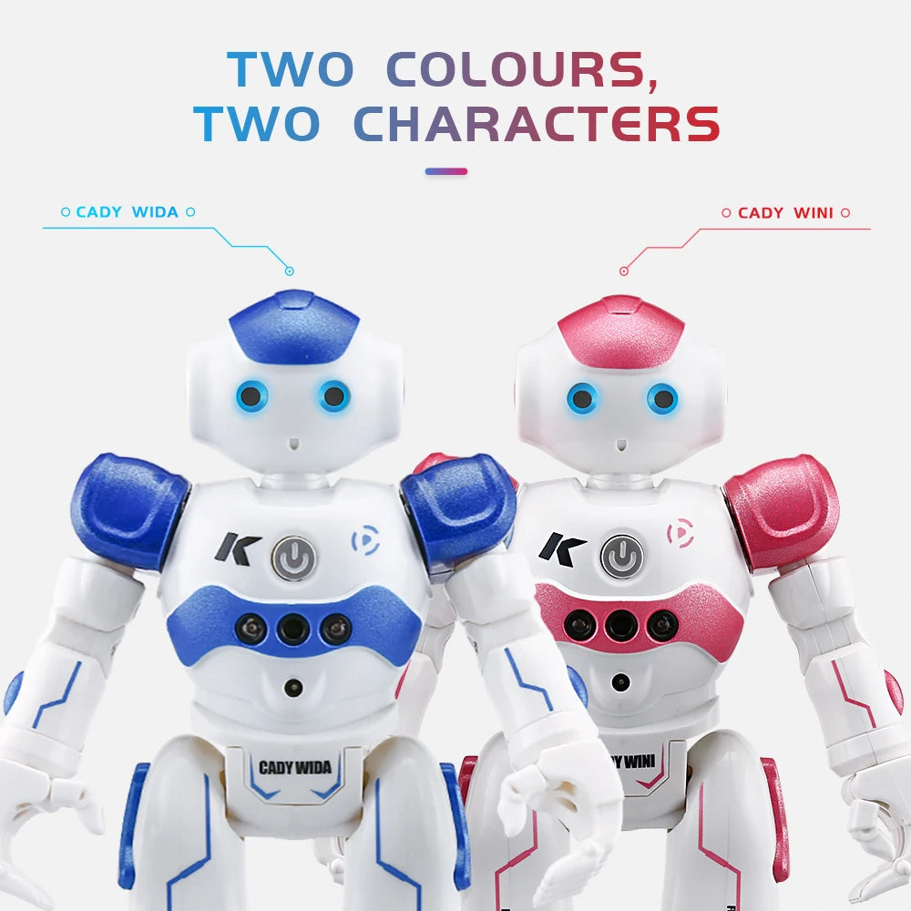 Interactive Smart Gesture Robot eprolo