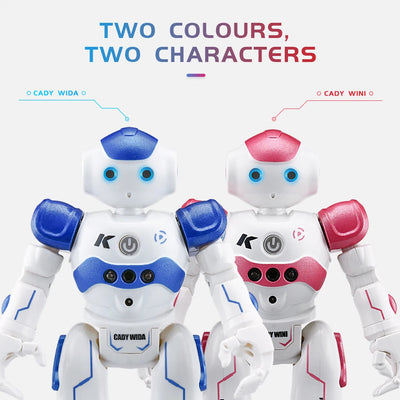 Interactive Smart Gesture Robot eprolo