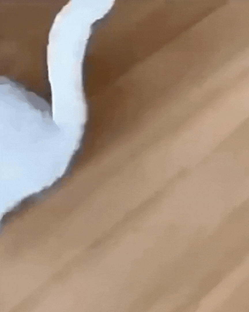 PurrPlay™ Smart Laser Cat Collar - Urban-Utopia