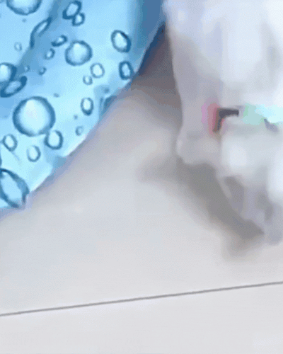 PurrPlay™ Smart Laser Cat Collar - Urban-Utopia